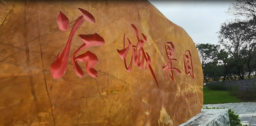 谷城礦業(yè)直播：走進(jìn)“谷城果園”！
