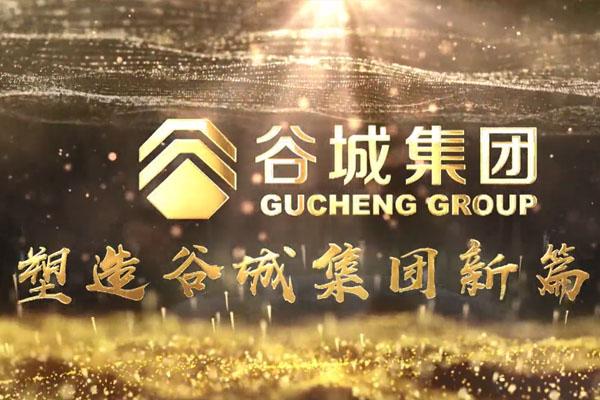 共筑新時代，不負韶華夢——谷城集團隆重舉行2019年度榮譽表彰大會暨2020年迎春年會